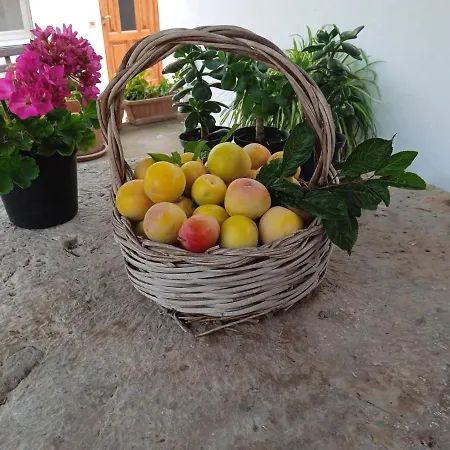 Casetta Eva Apartmán